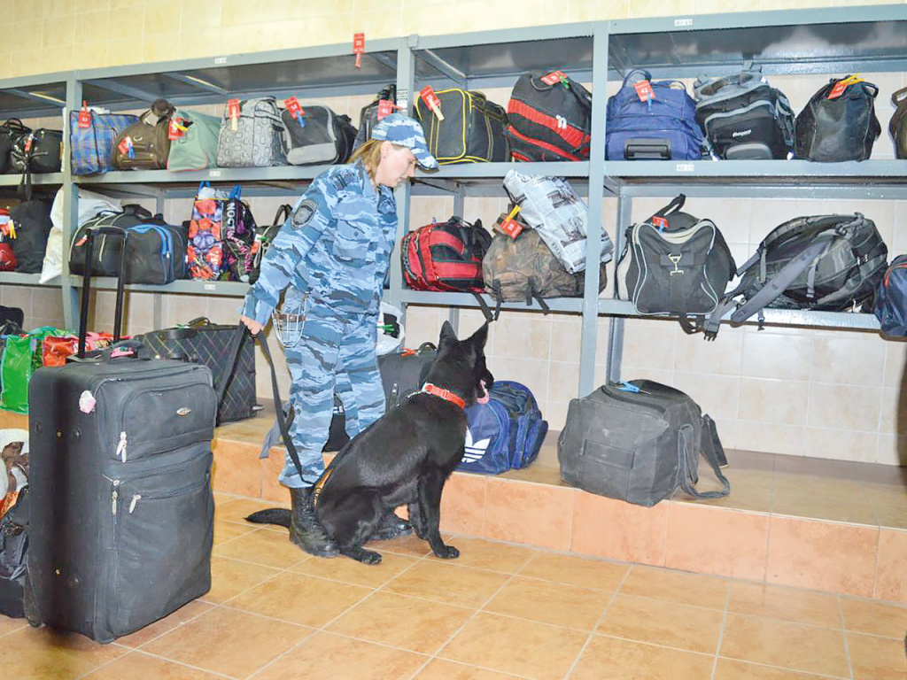 Анна Баглаева с напарником