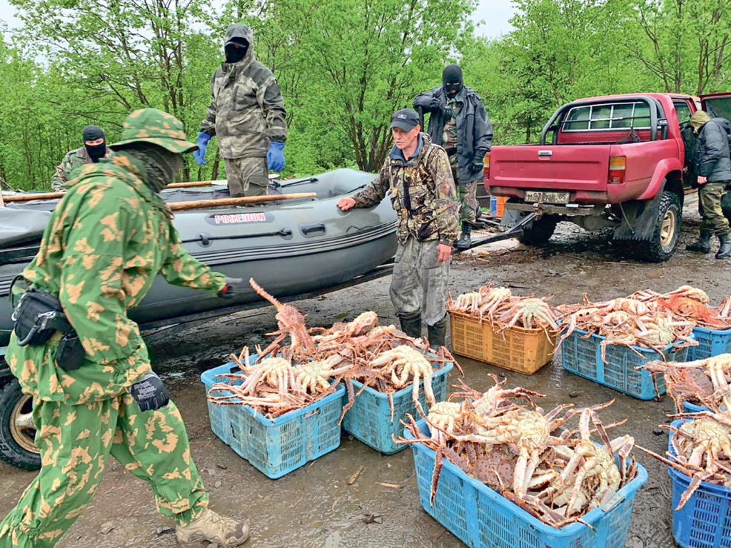 В Углегорском районе оперативники изъяли 407 особей краба