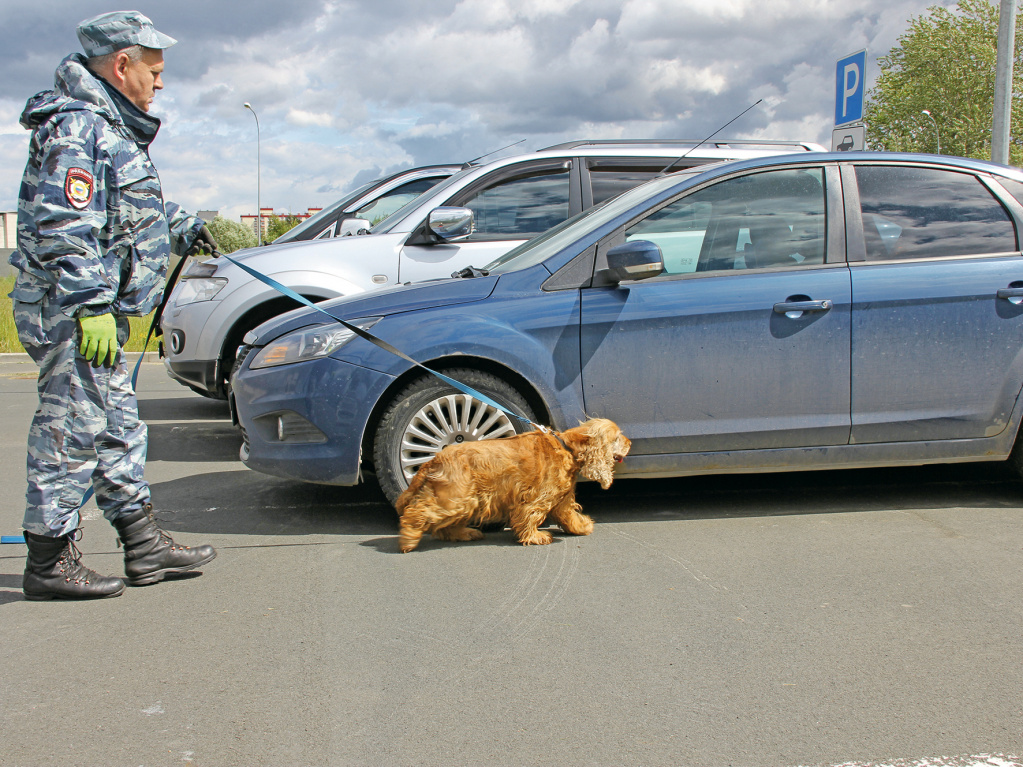 Тренировка. Петрозаводск