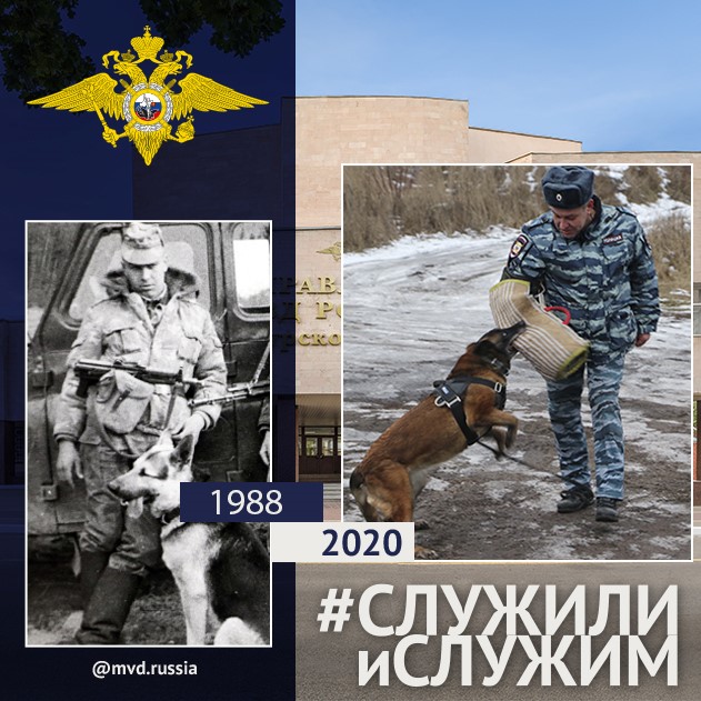  Владимир Поверинов