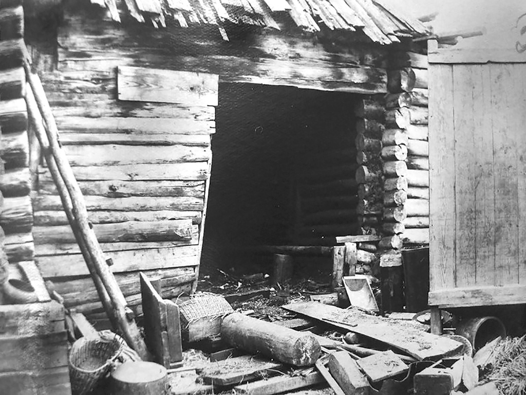 Фото: Сарай, где хранили чемодан убитой