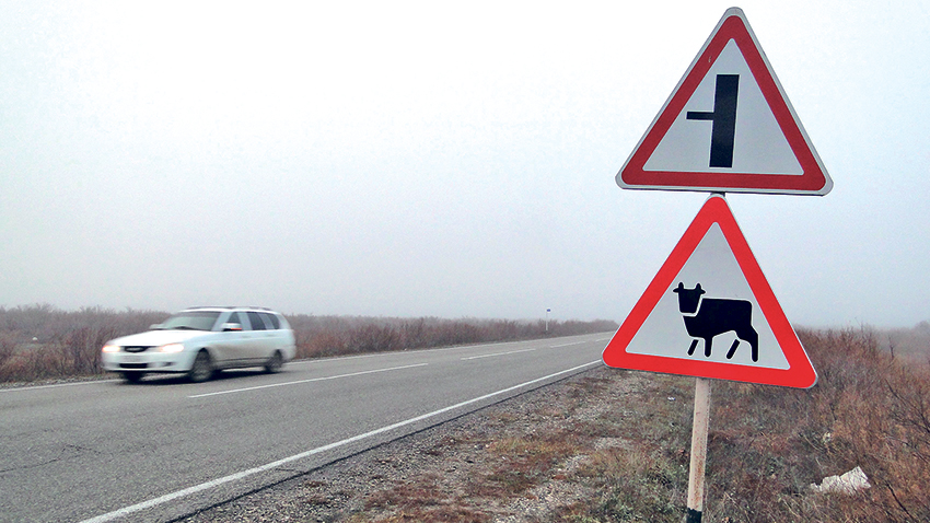 Такие знаки висят у населённых пунктов, где разводят скот