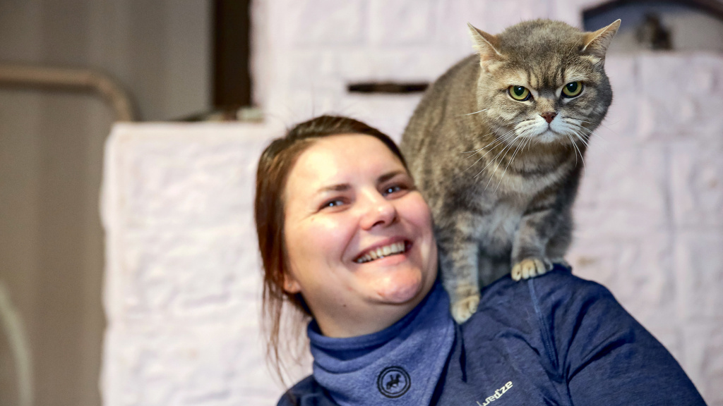 Усы, лапы и хвост - вот мои документы