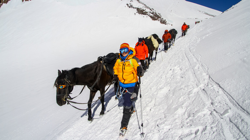 Лучше гор могут быть только кони-3.jpg