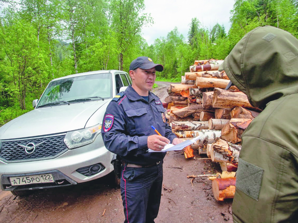 Фото: Проверка документов рубщиков леса