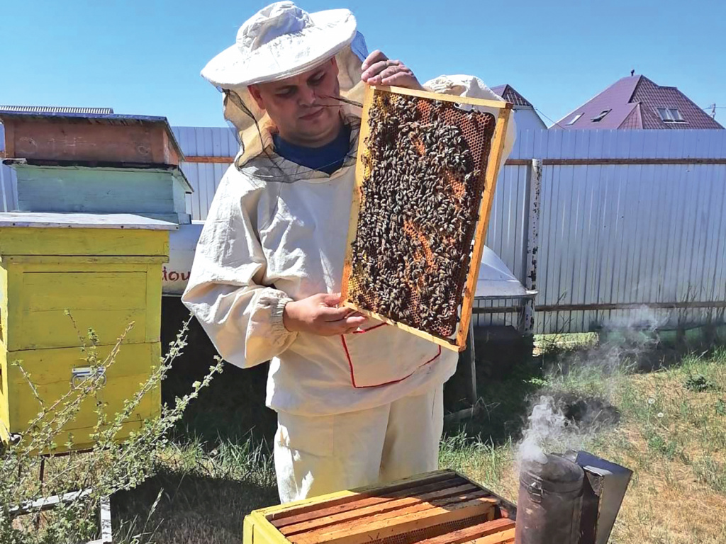 Пчеловодство - общее семейное дело