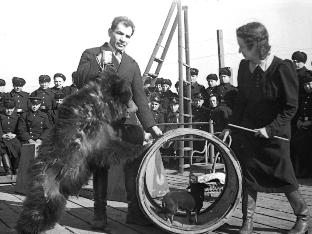 Фото: Театр зверей выступает перед моряками Балтийского флота, 1943 год